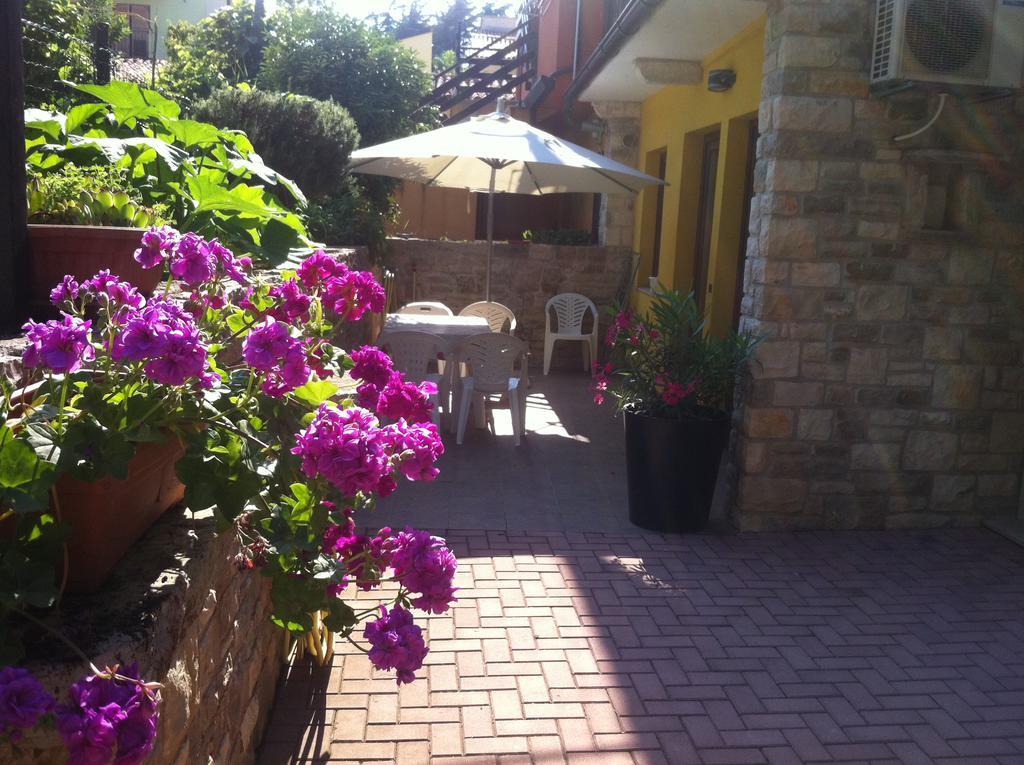 Apartment Sincic Novigrad Istria エクステリア 写真