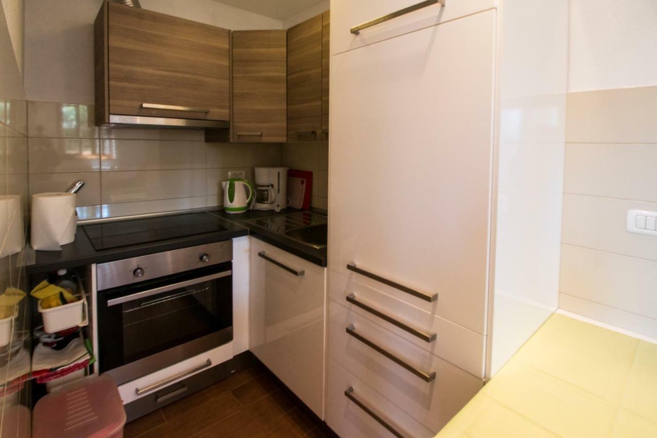 Apartment Sincic Novigrad Istria エクステリア 写真