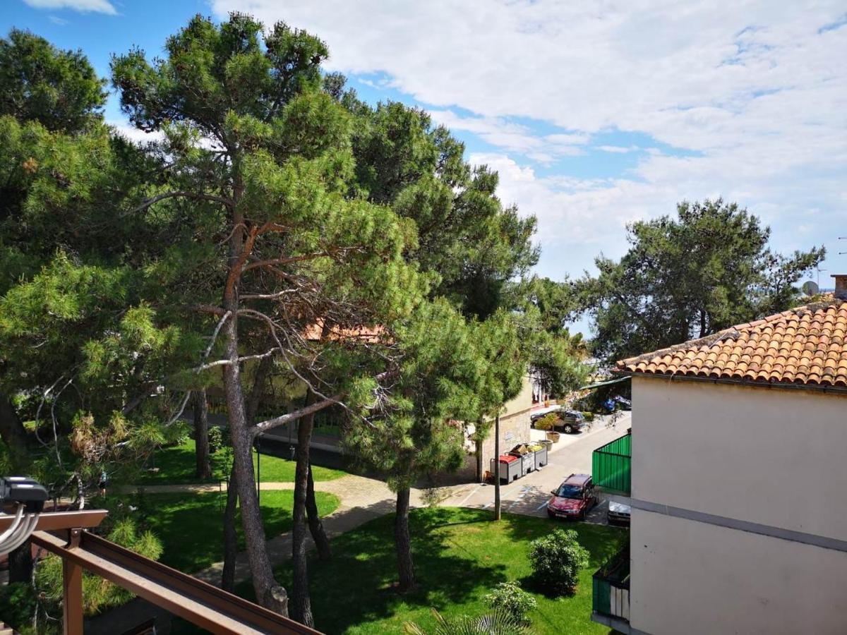 Apartment Sincic Novigrad Istria エクステリア 写真